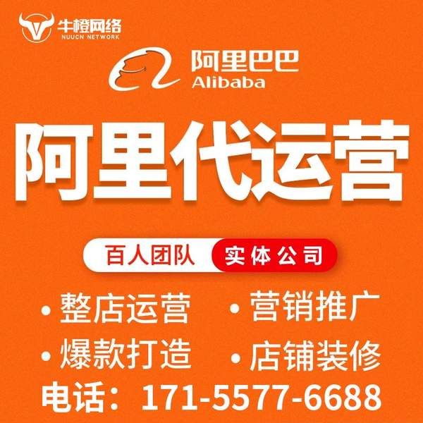 昌都电商代运营