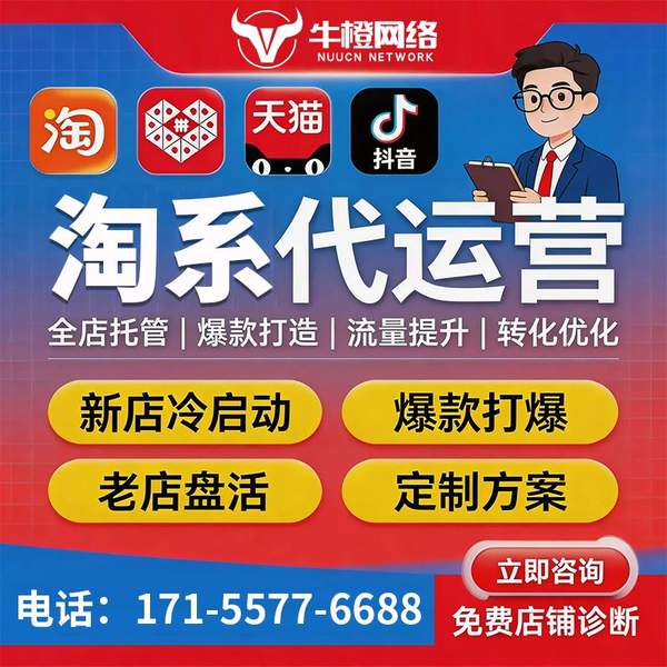昌都电商代运营