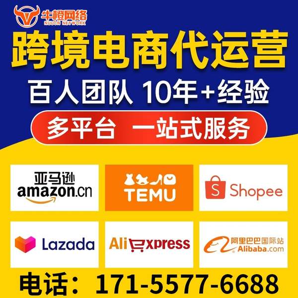 昌都电商代运营