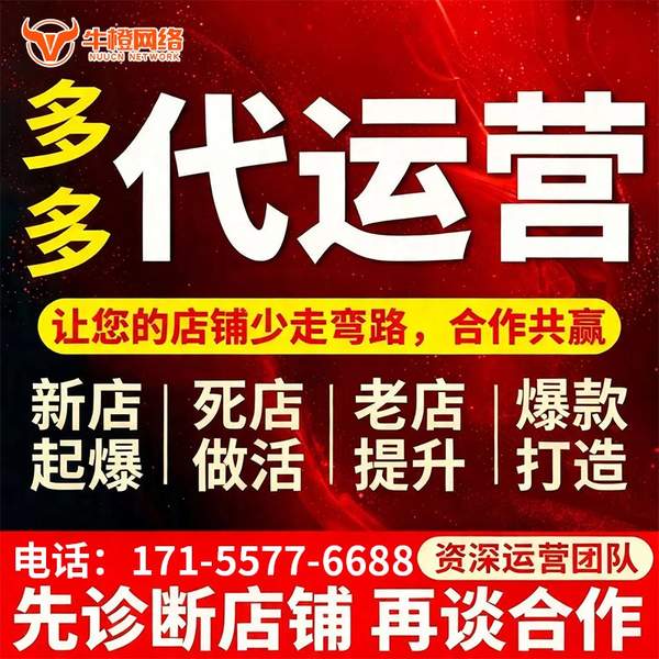 昌都电商代运营