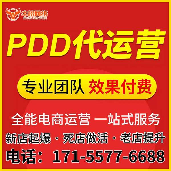 昌都电商代运营