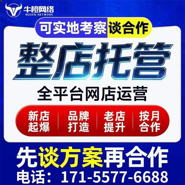 昌都电商代运营