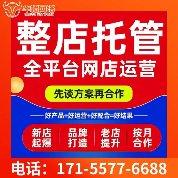 昌都电商代运营