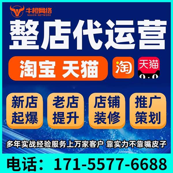 昌都电商代运营