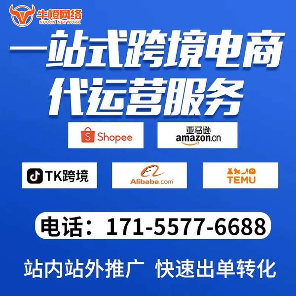 昌都电商代运营