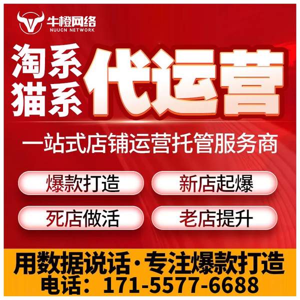昌都电商代运营